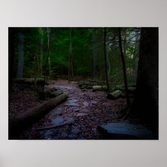 Dreamy Woodland mit Rock Trail Poster (Vorne)
