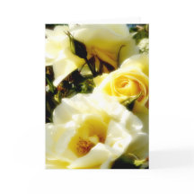 Dreamy Yellow Roses AH2010
