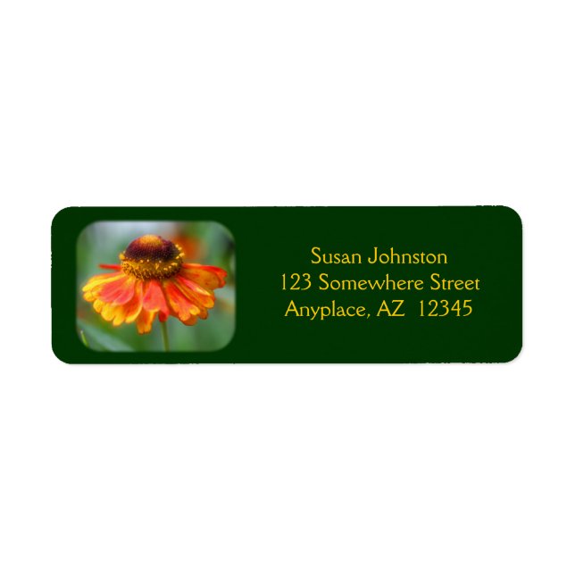 Dreamy Zinnia Blume Address Label (Vorne)