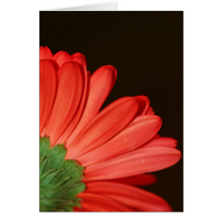 Dreh mir nicht den Rücken!