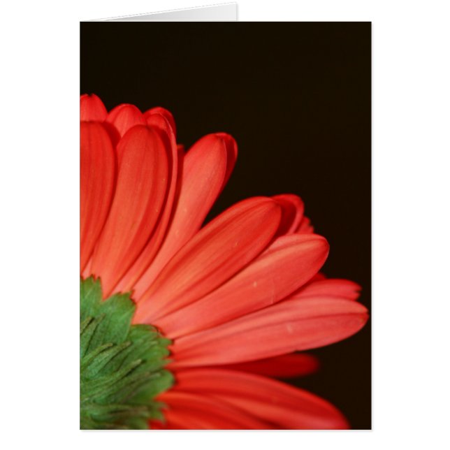 Dreh mir nicht den Rücken! (Vorne)