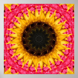 Drehende Sonnenblume Poster