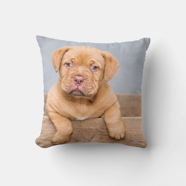 Drehkissen 16 Zoll x 16 Zoll Kissen (Vorderseite)