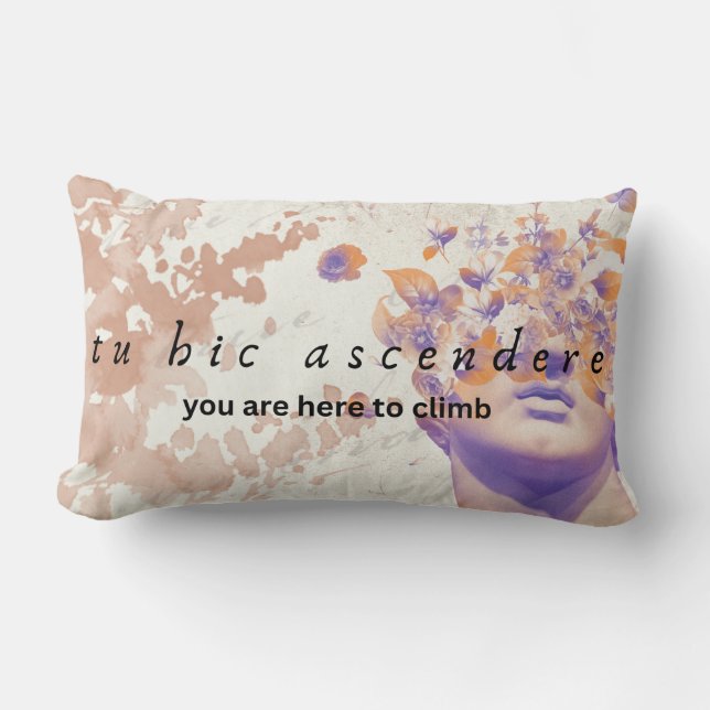 Drehkissen, Lumbalkissen 13 Zoll x 21 Zoll Lendenkissen (Vorderseite)