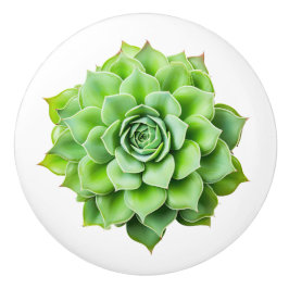 Drehknöpfe für die Keramik Keramikknauf