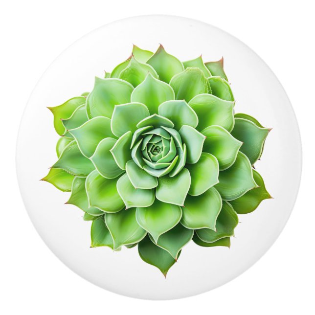 Drehknöpfe für die Keramik Keramikknauf (Vorderseite)