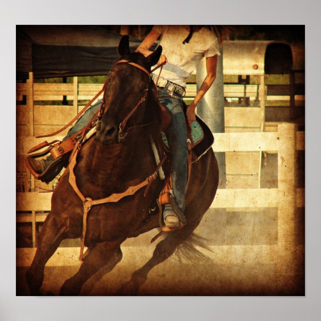 Drehpferd Poster (Vorne)