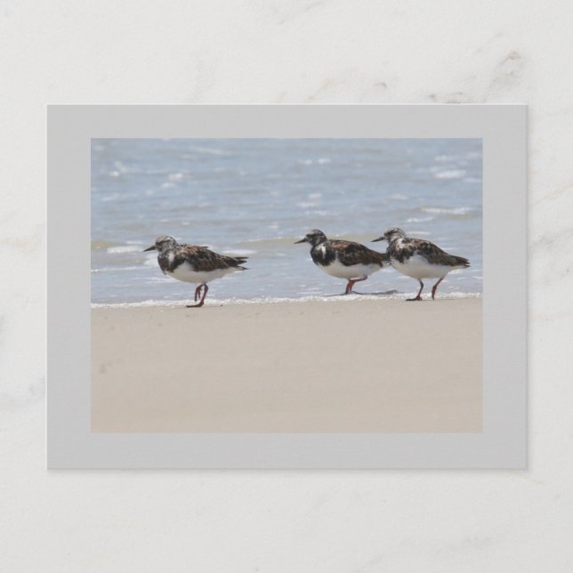 Drehsteine Postkarte (Vorderseite)