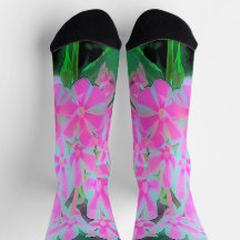 Drehung Phlox (Pink und Weiß)