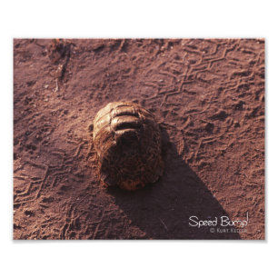 Drehzahlmesser Fotodruck