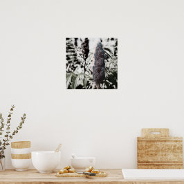 Drei 16" poster