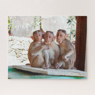 Drei Affen zusammen Wildtiere Puzzle
