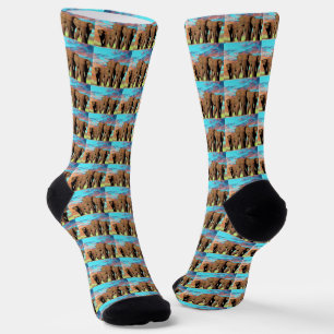 Drei afrikanische Elefanten, Crew Socken