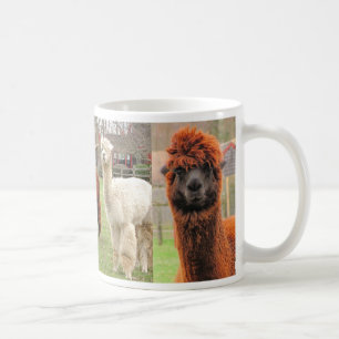 Drei Alpakas ~ Tasse
