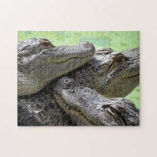 Drei Amigos Alligator Puzzle