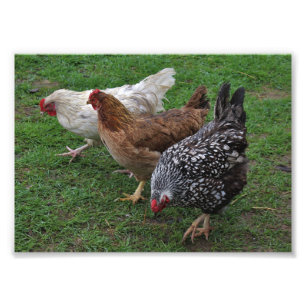 Drei Amigos Fotodruck