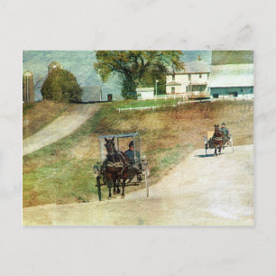 Drei Amish-Buggyen Postkarte