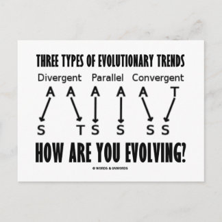 Drei Arten evolutionärer Trends (Evolution) Postkarte