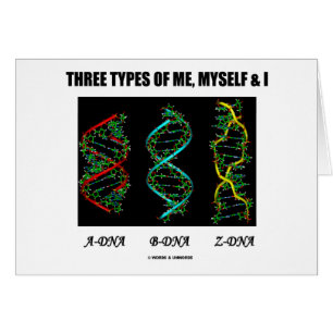 Drei Arten von mir, von selbst u. I (A-DNA B-DNA