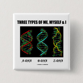 Drei Arten von mir, von selbst u. I (A-DNA B-DNA Button