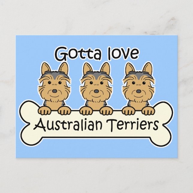 Drei australische Terrier Postkarte (Vorderseite)