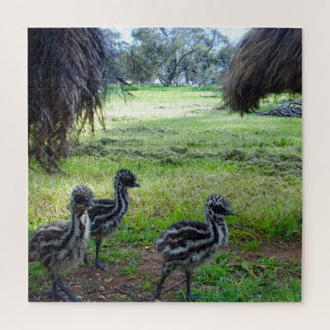 Drei Baby Emu Chicks, Puzzle (Vertikal)
