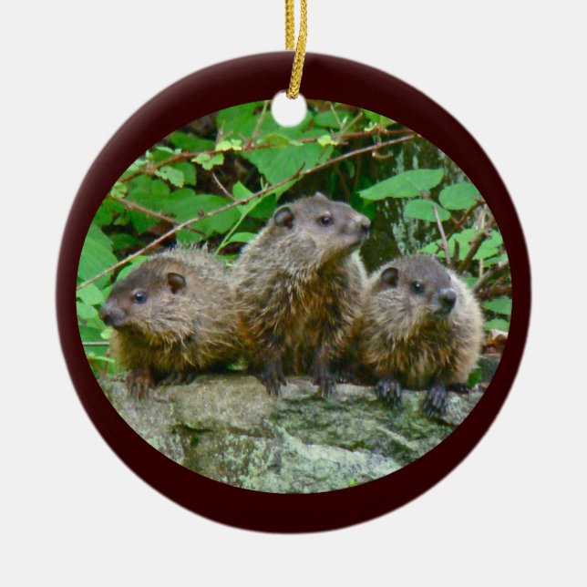Drei Baby Groundhogs Keramik Ornament (Vorne)