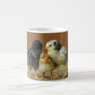 Drei Baby-Küken Tasse