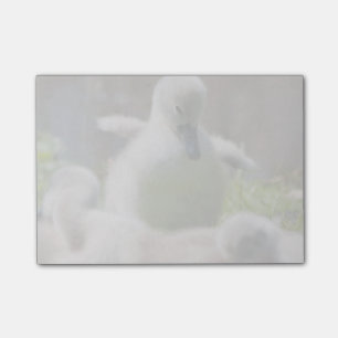 Drei Baby-SchwanCygnetentlein, die zusammen Post-it Klebezettel