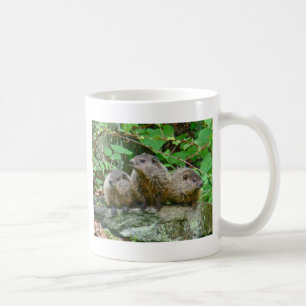 Drei Babymurmeltier Tasse
