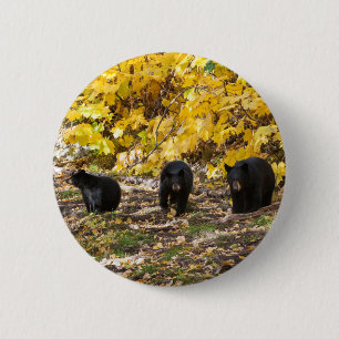 Drei Bären Button