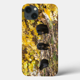 Drei Bären Case-Mate iPhone Hülle