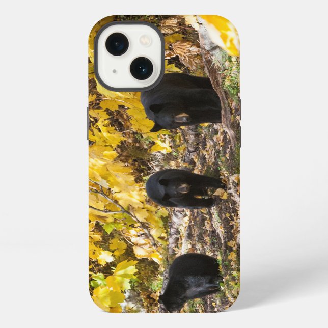 Drei Bären iPhone Hülle (Rückseite)