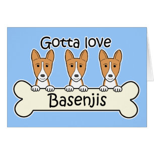 Drei Basenjis