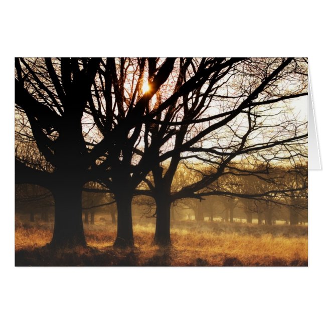 Drei Bäume (Vorderseite (Horizontal))