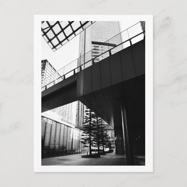 Drei Bäume: Tokio Postkarte (Vorderseite)