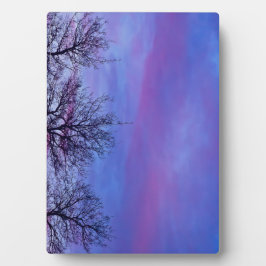 Drei Baumstämme Fotoplatte