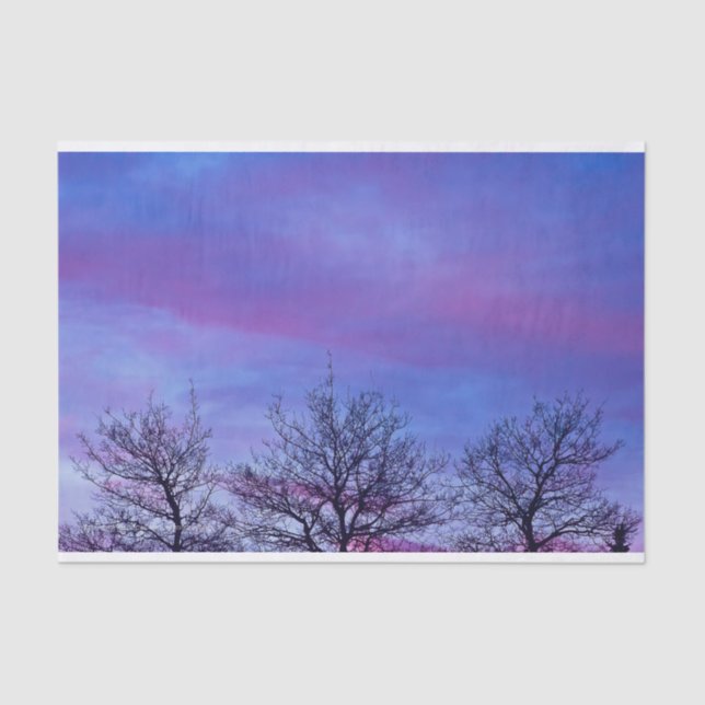 Drei Baumstämme Seidenpapier (Vorderseite)