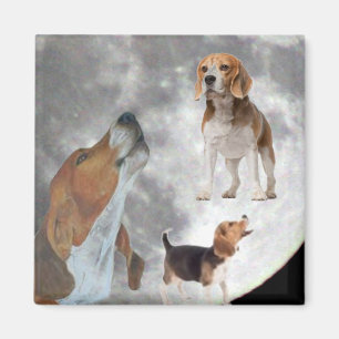 Drei Beagles und das Mondmagnet Magnet