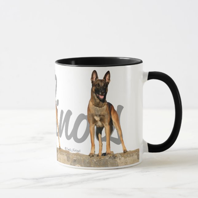 Drei Belgier Malinois mit Zuchtname Tasse (Rechts)