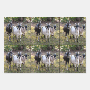 Drei Billy-Goats-Wrapper Geschenkpapier Set