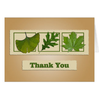 Drei Blätter Danke Karte