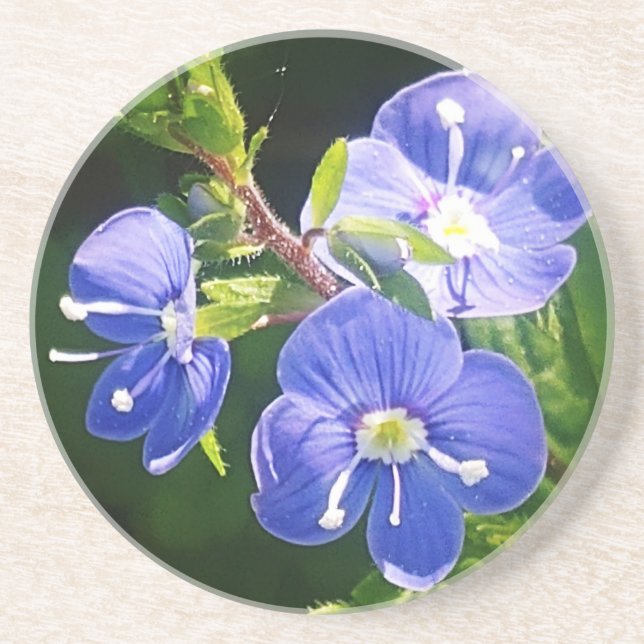 Drei blaue Blumen Getränkeuntersetzer (Vorne)