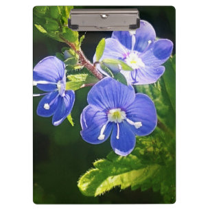Drei blaue Blumen Klemmbrett