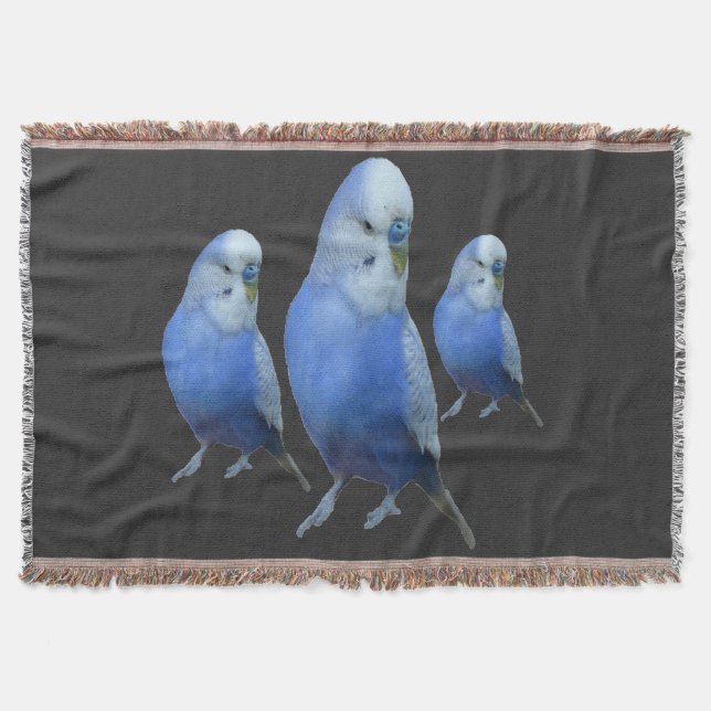 drei blaue Wellensittiche Decke (Vorderseite)