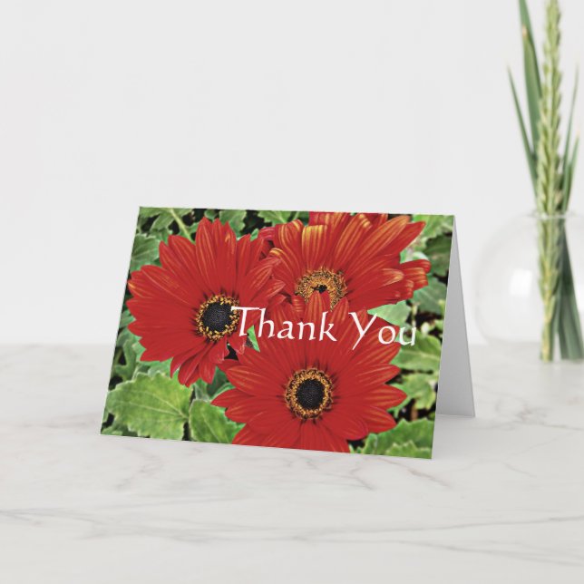 Drei Blume, während sie rot blühen, Danke (Vorderseite)