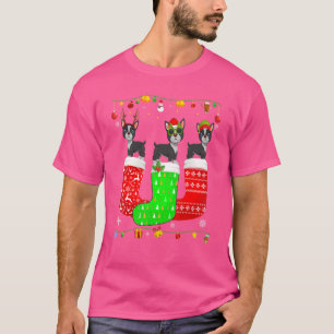 Drei Boston Terrier in Weihnachts-Socken passende T-Shirt