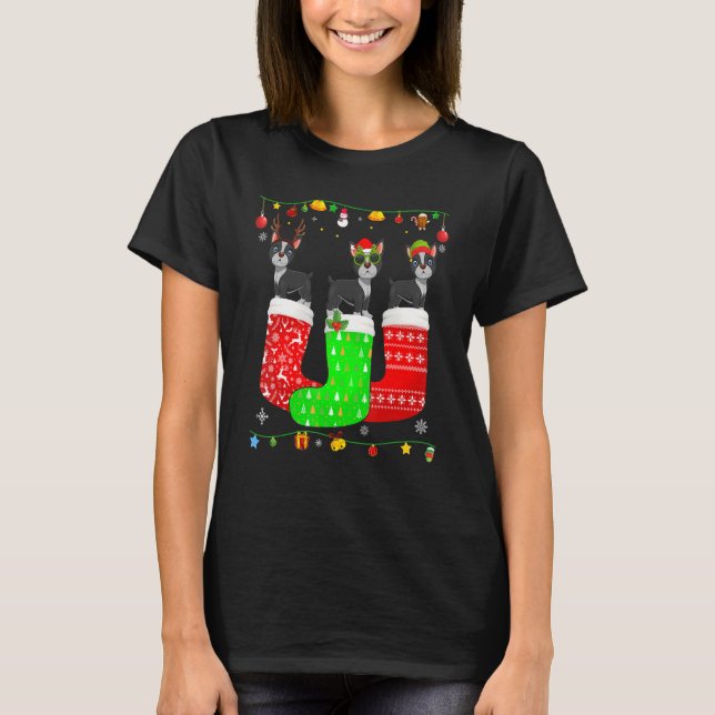 Drei Boston Terrier in Weihnachtssocken - Matching T-Shirt (Vorderseite)