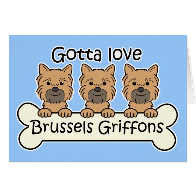Drei Brüssel Griffons (Vorderseite (Horizontal))
