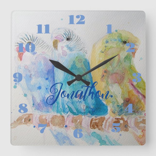 Drei Budgie Budgie Budgerigar Boys Room Clock Quadratische Wanduhr (Vorderseite)